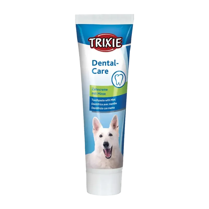 Tandkräm med Mintsmak – 100 G