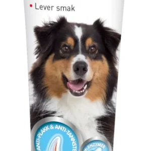 Tandkr盲m med Enzymer Hund/Katt 100g