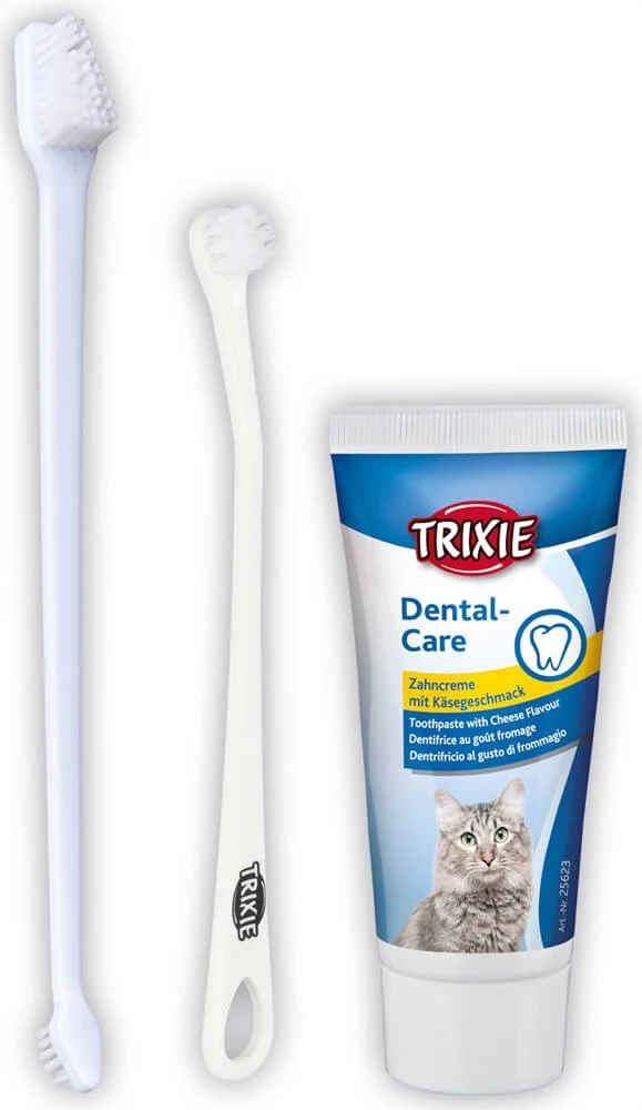 Tandvårdset till Katt