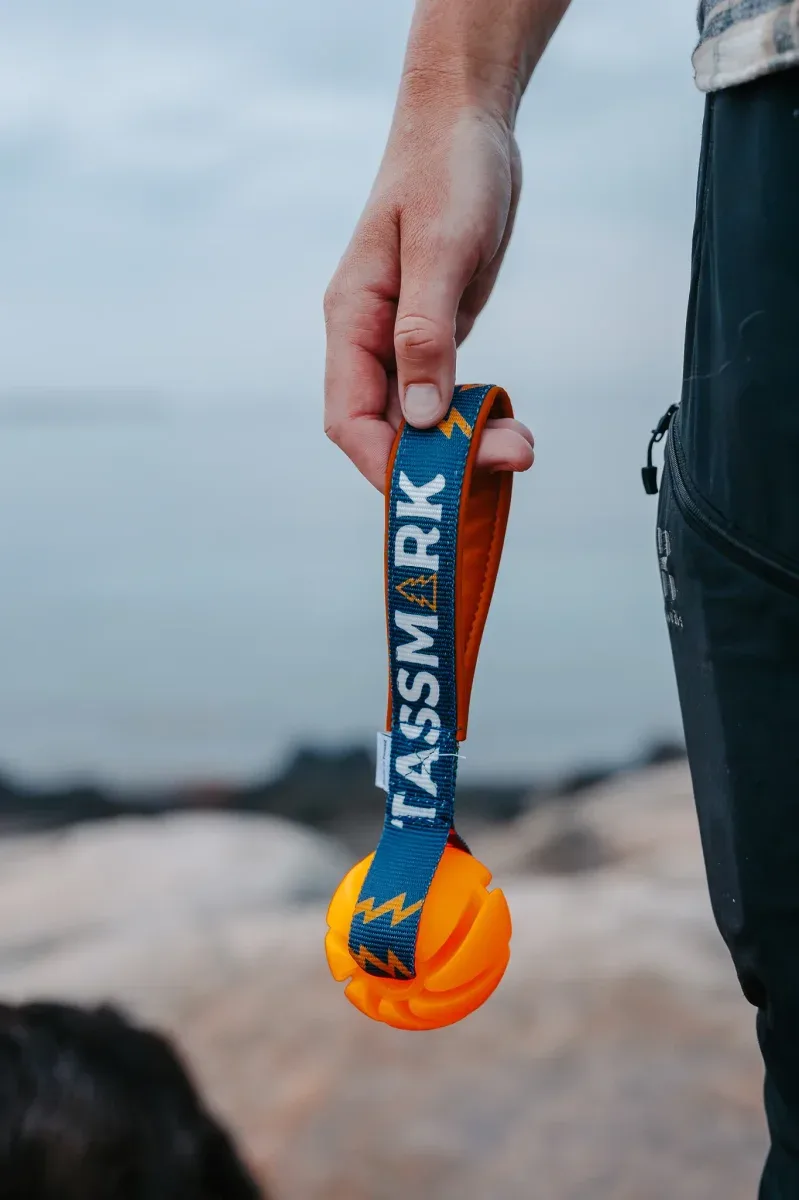 Tassmark x Elin Wiberg 1.2 Hundleksak