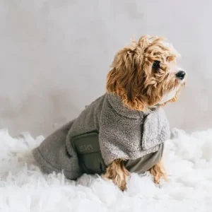 Teddy Hundjacka