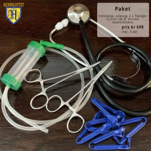 Teknik paket Stort