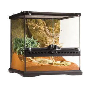 Terrarium Exoterra Mini Wide – 30X30X30 CM
