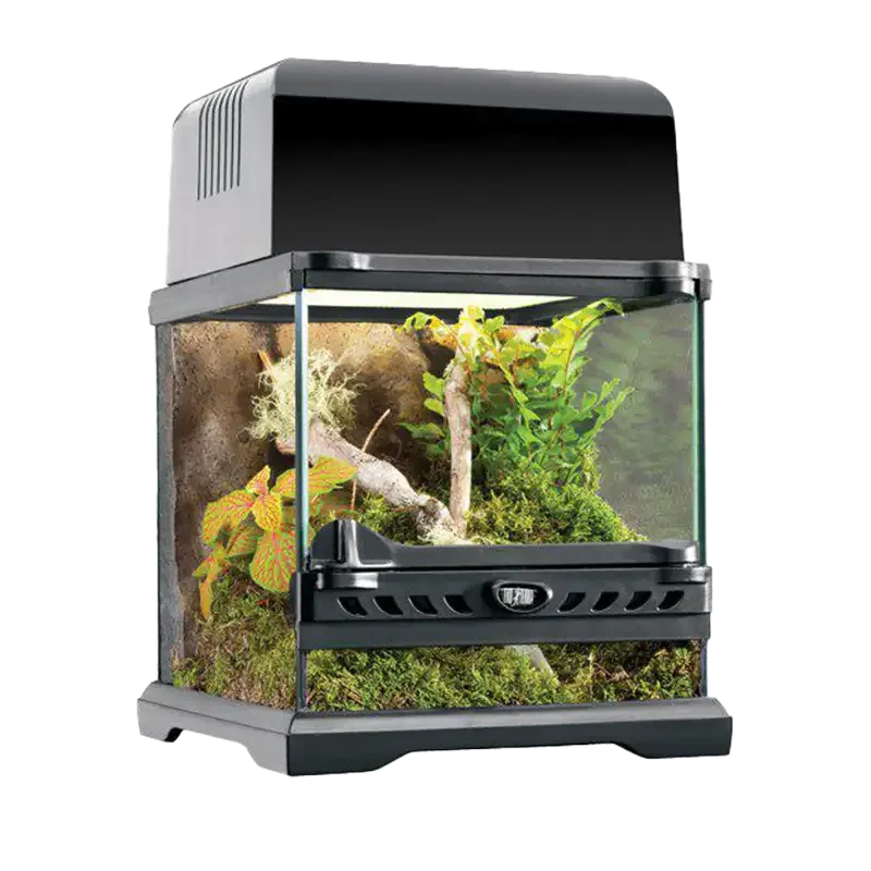 Terrarium Exoterra Nano Wide – 20X20X20 CM