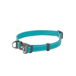 Trygg betalning Hundhalsband Rufus ställbart, 15mmx3550cm, Turkos