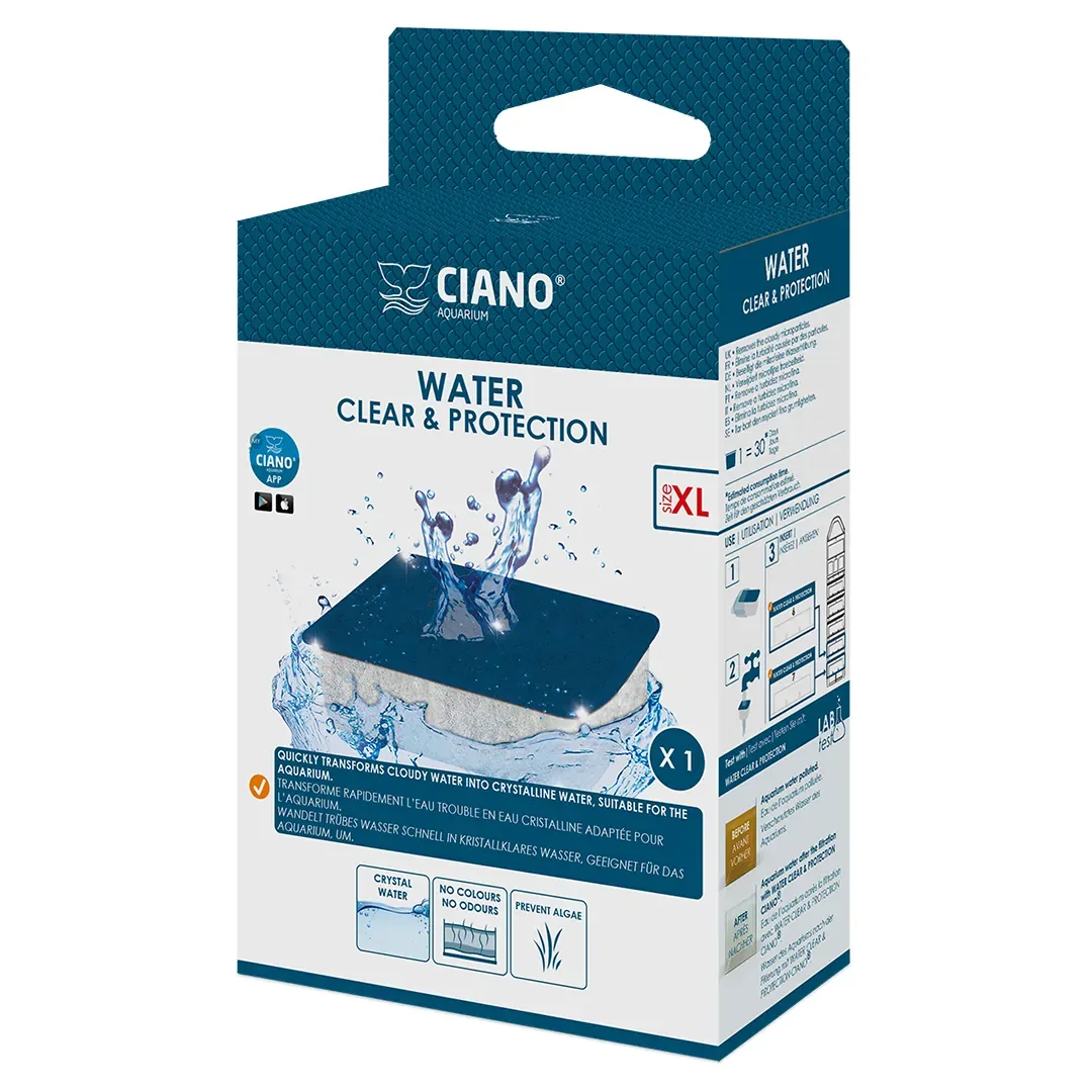 Water Clear X-Large Ciano