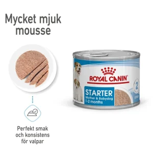 Wet Starter Mousse V氓tfoder f枚r hund