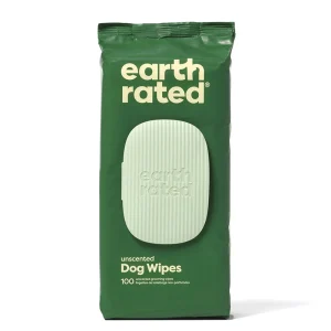 Wipes Unscented 100st