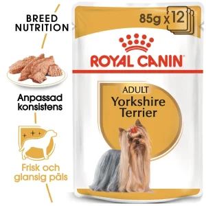 Yorkshire Terrier Adult V氓tfoder f枚r hund