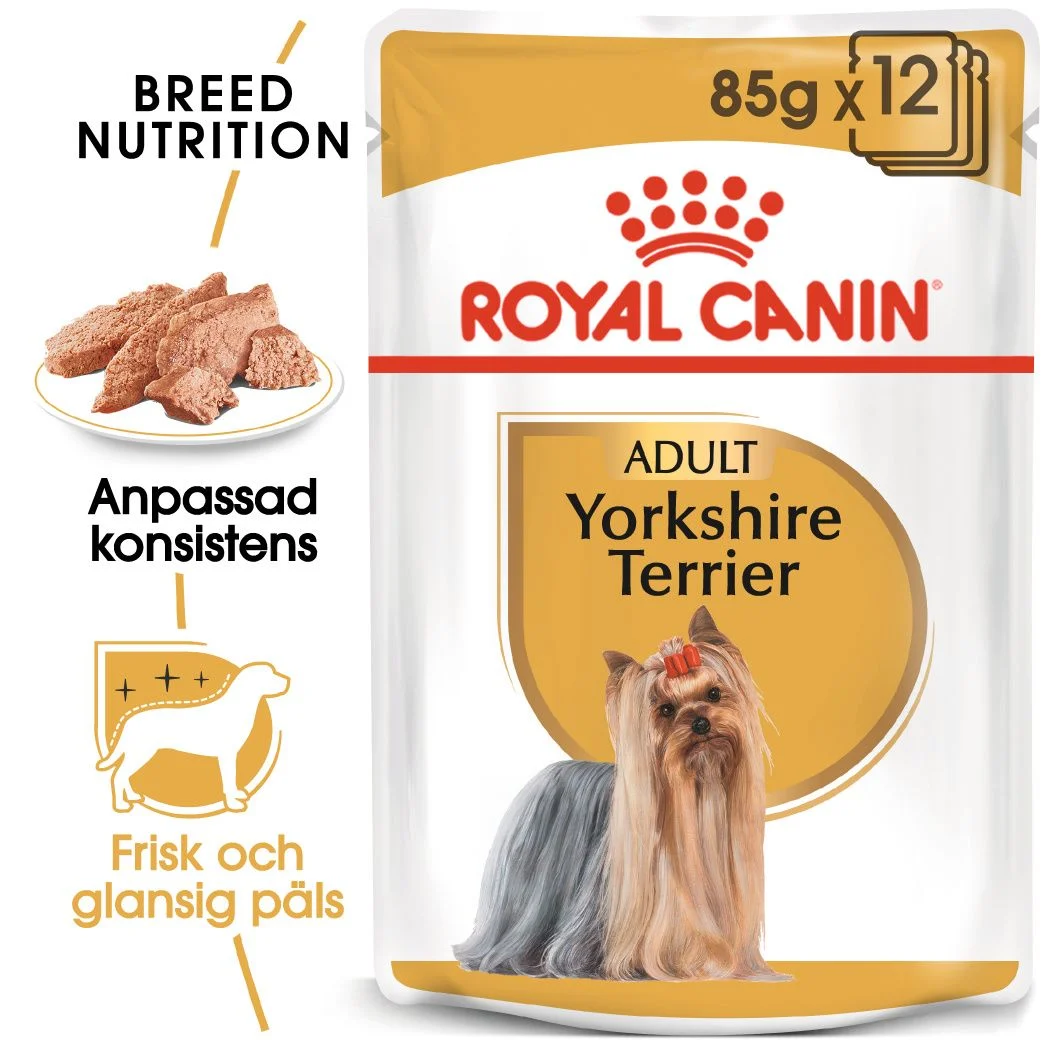 Yorkshire Terrier Adult V氓tfoder f枚r hund